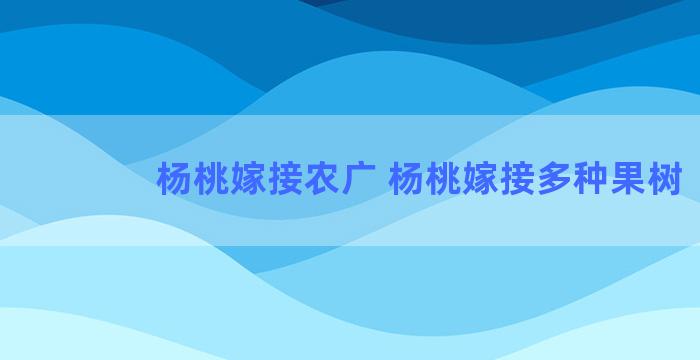 杨桃嫁接农广 杨桃嫁接多种果树